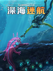 淘宝便宜外贸